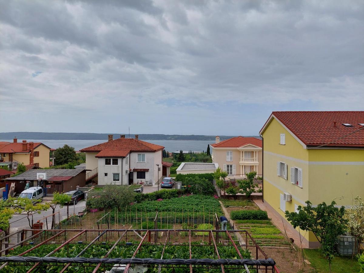 Apartma Marina ピラン エクステリア 写真
